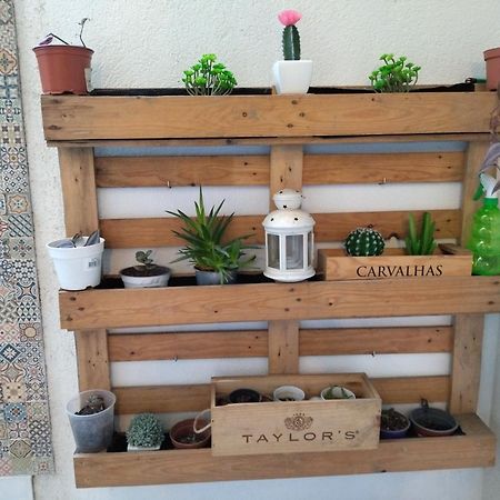 Santa Catarina Patio Apartment - With Washer Machine ปอร์โต ภายนอก รูปภาพ