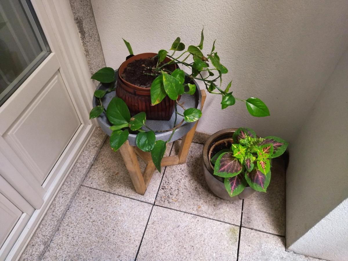 Santa Catarina Patio Apartment - With Washer Machine ปอร์โต ภายนอก รูปภาพ
